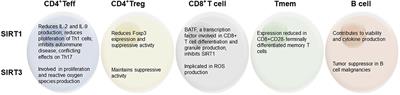 Regulation of Adaptive Immune Cells by Sirtuins